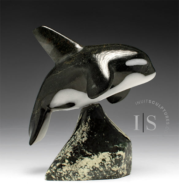 7” SIGNATURE Orca by Johnnysa Mathewsie *Poised* (Copy)
