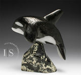 Orca de 7 pouces, SIGNATURE de Johnnysa Mathewsie *Figée*