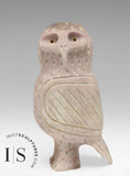 4" Inquisitive Owl by Elisha Ipeele *Wise Guy*