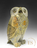 7" SIGNATURE Owl by Pits Qimirpik  *Neil Degrasse*