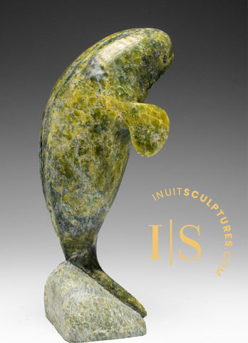 8" Dancing Beluga Whale by Pits Qimirpik *Top of the Morning* EXHIBITION PIECE AUG 14