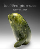 8" Beluga Whale by Pits Qimirpik *Thyme* EXHIBITION PIECE AUG 14