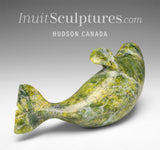 6" Basking Beluga Whale by Pits Qimirpik *Summer* EXHIBITION PIECE AUG 14