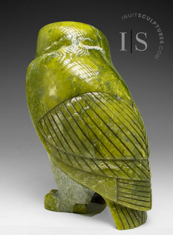 THE VERY LAST ONE 8" SIGNATURE Owl by the Late Pits Qimirpik (1956-2024) *Shining Light*