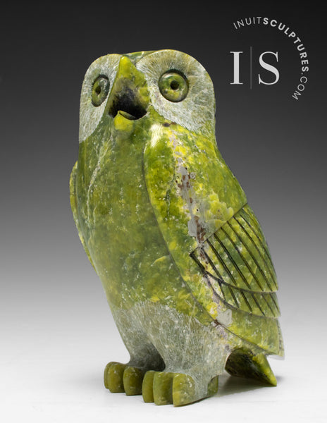 6" SIGNATURE Owl by Pits Qimirpik *Christmas*