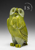 LAST OWL 6" SIGNATURE Owl by Pits Qimirpik (1958 -2024) *Shrek*