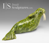 6" Relaxing Walrus by Pits Qimirpik *Great Canadian Smile* EXHIBITION PIECE AUG 14