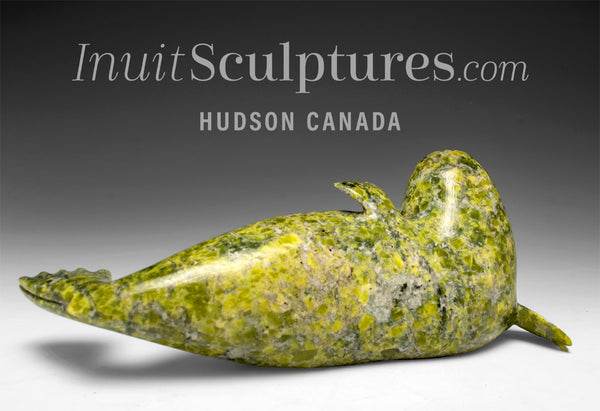 7" Basking Seal by the late Suati Qimirpik *Fur Ball* EXHIBITION PIECE AUG 14