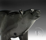 RESERVED** 8.5" Walking Bear by Tim Pee *A Study in Calm*