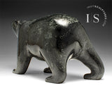 Ours marchant de 10 po par Tim Pee *Fan des Canadiens*