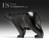 9" SIGNATURE Walking Bear by Tim Pee *Coal*