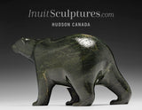 8” SIGNATURE Walking Bear by Tim Pee *Mattie*