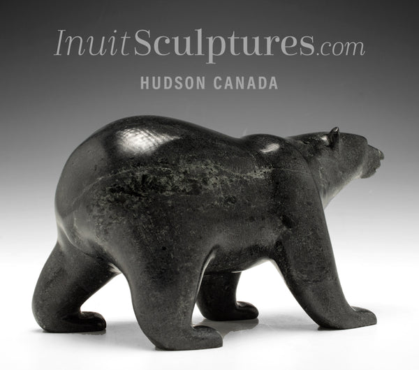 9" SIGNATURE Walking Bear by Tim Pee *Sarasota*