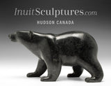 9" SIGNATURE Walking Bear by Tim Pee *Sarasota*