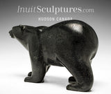 9" SIGNATURE Walking Bear by Tim Pee *Sarasota*