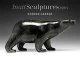 Ours marchant de 10 po par Tim Pee *Fan des Canadiens*