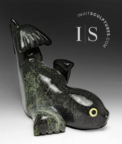 7" Seal by Toonoo Sharky