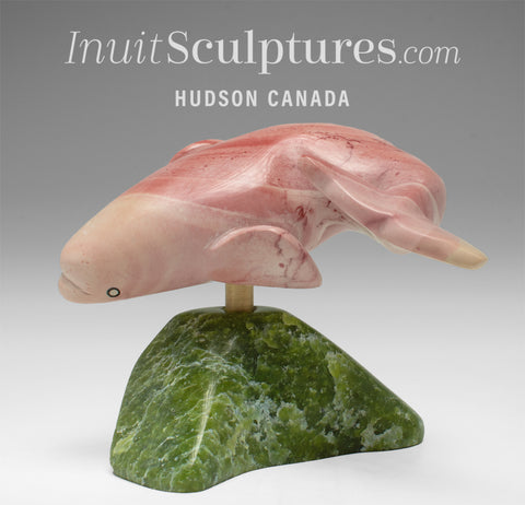 7" Whale by Toonoo Sharky *Wiggle Room*