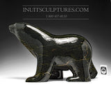 16" Striking Black Walking Bear by Ashevak Adla
