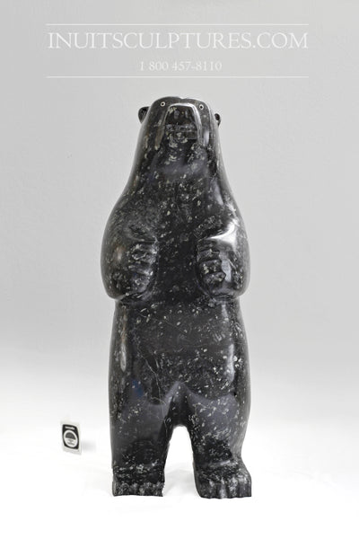 22" Large Standing bear by Louie Makittuq