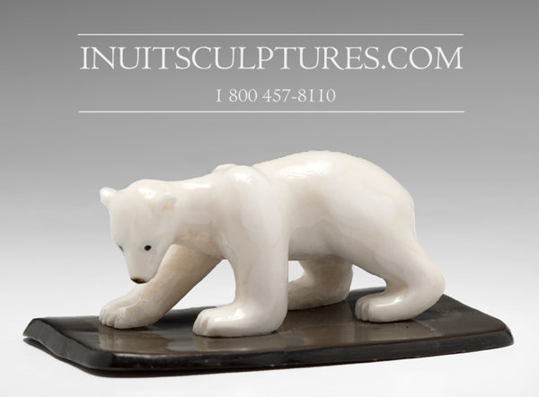 3" Miniature Ivory Bear by Tarsis Pillakapsi