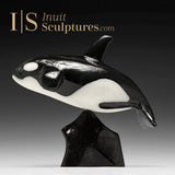 9" SIGNATURE Orca by Johnnysa Mathewsie *Oreo*