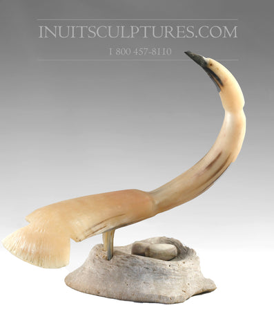 14" Muskox (Musk Ox) Crane by Joseph Suqslaq