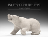 13"  Polar Bear by Joseph Suqalaq Gjoa Haven *Stealth*