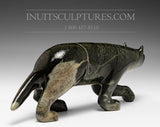 13" Prowling Fox by Kellypalik Etidloie