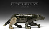 13" Prowling Fox by Kellypalik Etidloie