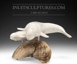 12" Mother Beluga & Calf by International Master Carver Looty Pijamini