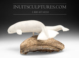 12" Mother Beluga & Calf by International Master Carver Looty Pijamini