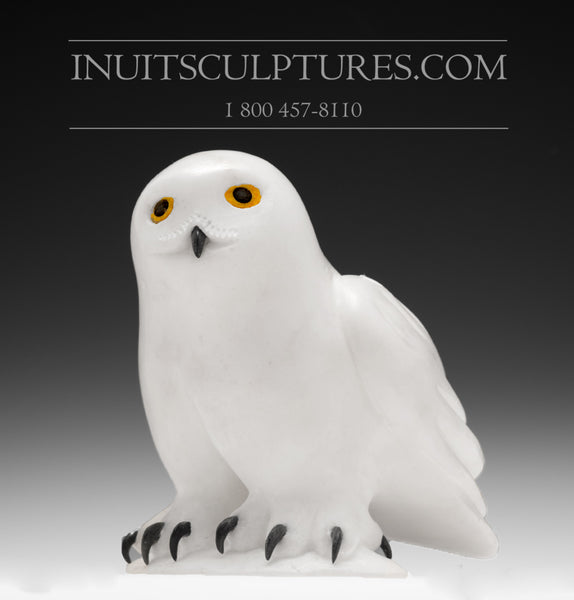 7" White Owl by Famous Manasie Akpaliapik