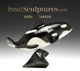 7" SIGNATURE Orca by Johnnysa Mathewsie  *Speed of Light*