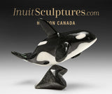 7" SIGNATURE Orca by Johnnysa Mathewsie  *Speed of Light*