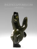 3.5" Dancing Bear by Adamie Mathewsie *Tiny Giant*