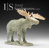 8" Moose by Peter K. *Musings II*