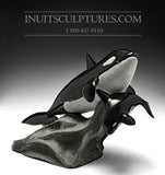 14" Mother and Calf Orca (Killer) Whales by Master Derrald Taylor