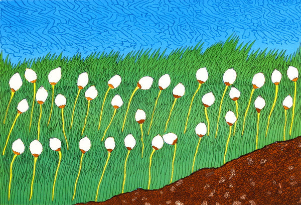 2013 COTTON GRASS by Nicotye Samayualie