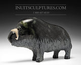 12" Muskox by Joamie Aipeelee *Midnight Ink*