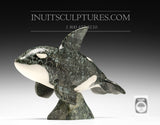 10" Orca Whale by Johnnysa Mathewsie