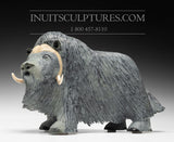 15" Exclusive Treasured Muskox by Lucassie Ikkidluaq