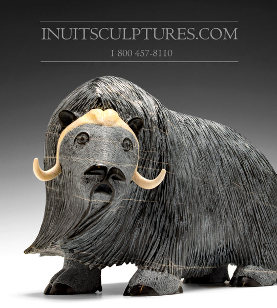 12" Iconic Masterpiece Muskox by Lucassie Ikkidluaq