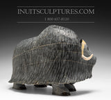 12" Iconic Masterpiece Muskox by Lucassie Ikkidluaq