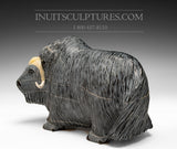 12" Iconic Masterpiece Muskox by Lucassie Ikkidluaq