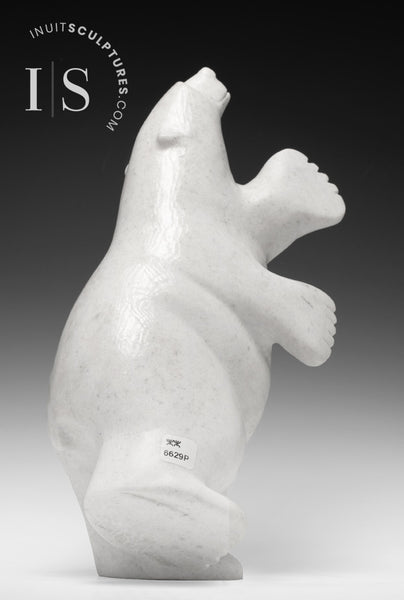 14" 2 Way Dancing Bear by Matt Flaherty  *Glacial*