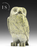 8" SIGNATURE Owl by Pits Qimirpik *Pistachio*