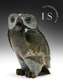 6" SIGNATURE Owl by Pitseolak Qimirpik *Juniper*