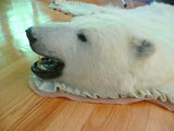 Original Polar Bear Skin Rug