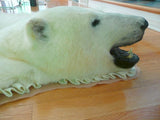 Original Polar Bear Skin Rug